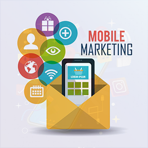 Ecommerce marketing services Warangal